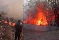 Bandipur tiger reserve catches fire once again in Karnataka