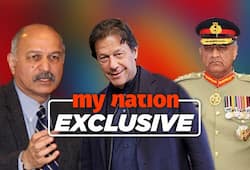 Pakistan senator Mushahid Hussain Syed lets cat out, says Pulwama Pakistan finest hour in 20 years