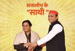 SP and BSP coalition is an opportunist Political Realtion
