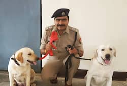 Sniffer dog of UP Police crack a blind murder and kidnapping case in Azamgarh
