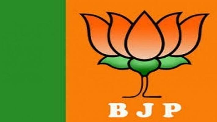 BJP IT winG plan BJP IT winG plan