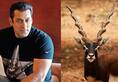 Salman Khan appeal in blackbuck poaching case to be heard today