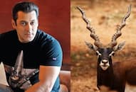 Salman Khan appeal in blackbuck poaching case to be heard today