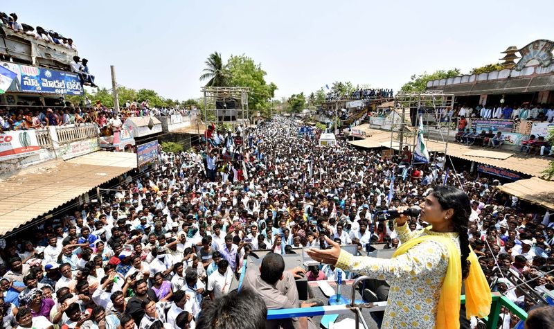 2019 ఎన్నికల్లో వైయస్ఆర్ కాంగ్రెస్ పార్టీ తరపున ఆమె ఒక స్టార్ కాంపైనర్ గా మారారు. ఎన్నికల ప్రచారంలో ఆమె ఇచ్చిన పిలుపు బైబై బాబూ అన్న పదం సోషల్ మీడియాలో ఒక సన్సేషన్ క్రియేట్ చేసిందనడంలో ఎలాంటి సందేహం లేదు.