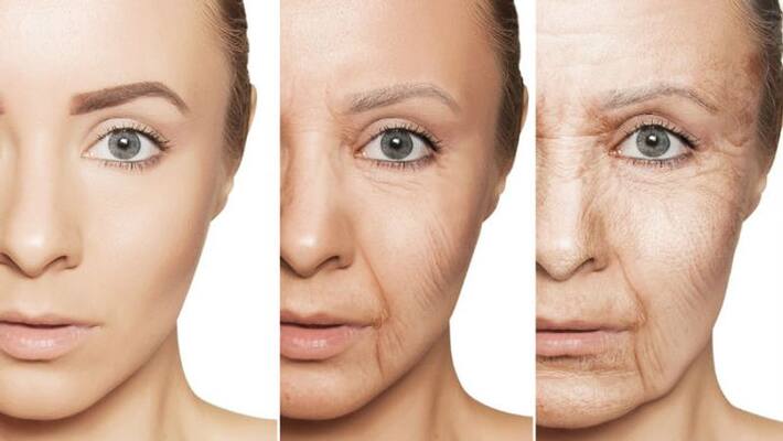 researchers found a protein which helps skin to be youth for long time researchers found a protein which helps skin to be youth for long time