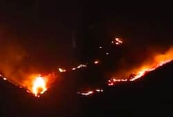 Fire in wheat crops in Jaunpur