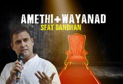 Amethi apart, here is why Wayanad as Plan B will boomerang for Rahul Gandhi