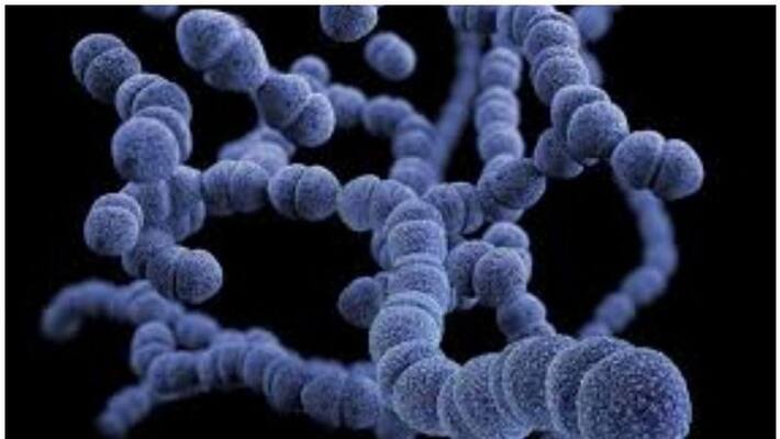 diphtheria in wayanad diphtheria in wayanad