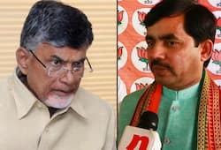 BJP tears Naidu crying foul over Income Tax raids transfer officers