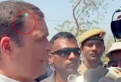 Rahul Gandhi Security breach: Green laser pointed at Congress president came from a mobile of AICC cameraman says MHA