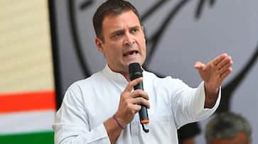 Rahul Gandhi enrages activists with comment on Bandipur night traffic ban