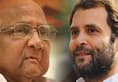 Sharad Pawar advises Rahul Gandhi not to attack Narendra Modi personally