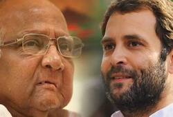 Sharad Pawar advises Rahul Gandhi not to attack Narendra Modi personally