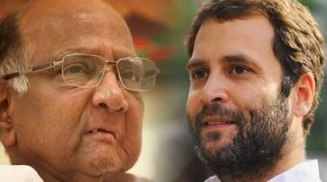Sharad Pawar advises Rahul Gandhi not to attack Narendra Modi personally
