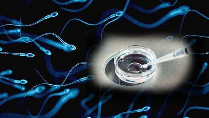men should avoid these 4 foods to lead better life men should avoid these 4 foods to lead better life