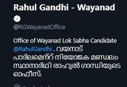 After safe Wayanad seat Rahul Gandhi now needs second Twitter account