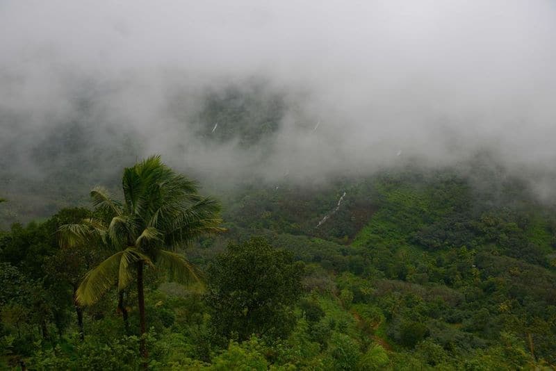 Western Ghats, Maharashtra, Goa, Karnataka, Tamil Nadu and Kerala: Older than the Himalayas, the Western Ghats are recognised as one of the world’s eight ‘hottest hotspots’ of biological diversity.