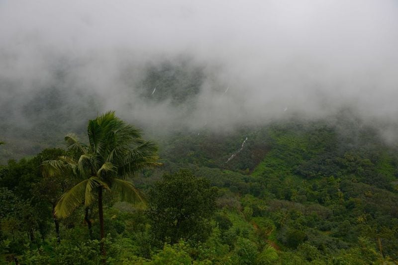 Western Ghats, Maharashtra, Goa, Karnataka, Tamil Nadu and Kerala: Older than the Himalayas, the Western Ghats are recognised as one of the world’s eight ‘hottest hotspots’ of biological diversity.