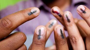 Karnataka: Woman travels from Bhutan to vote in Koppal for Lok Sabha election