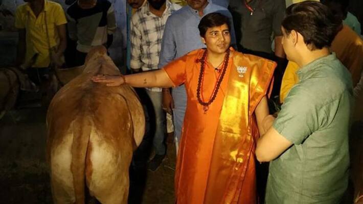 gaumuthra cured my cancer pragya singh thakkur says gaumuthra cured my cancer pragya singh thakkur says