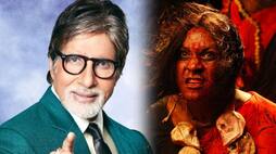 Is Amitabh Bachchan the viral transgender in Kanchana 2 remake?