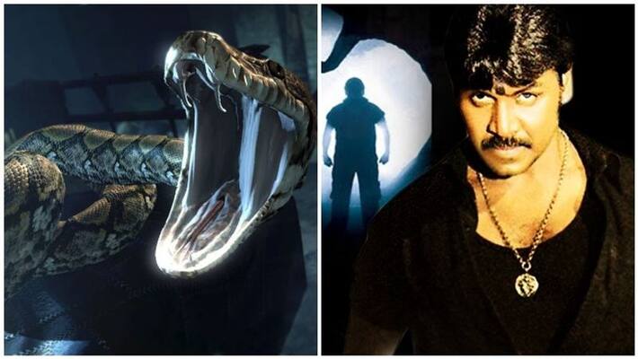rahawalarence next directed for snake movie rahawalarence next directed for snake movie