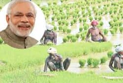 Modi government can give some special gifts to farmers