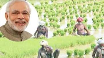 Modi government can give some special gifts to farmers