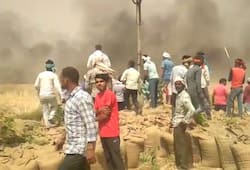caught fire in farms in Wheat standing crop in sonipat