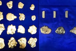 Customs officials seize gold worth Rs 1.76 crore at Chennai airport in two search operations