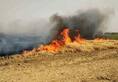 Woman die while extinguishing fire in standing wheat crop
