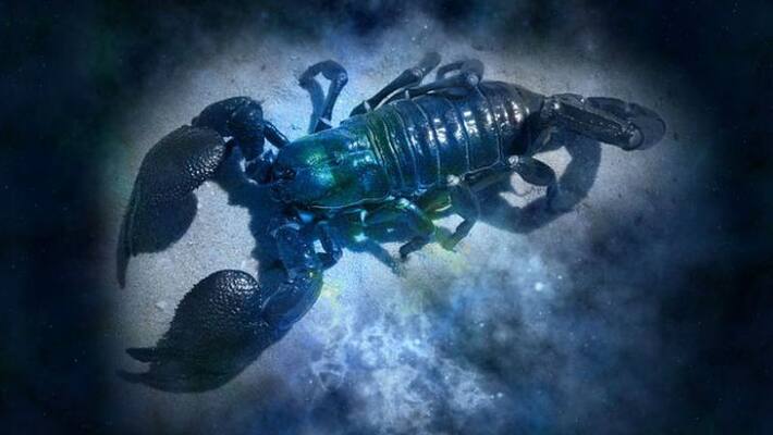How will the month of March 2020 affect Scorpio according to astrology How will the month of March 2020 affect Scorpio according to astrology