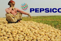 pepsico lays gujarat farmer potato seed dispute discussion my nation