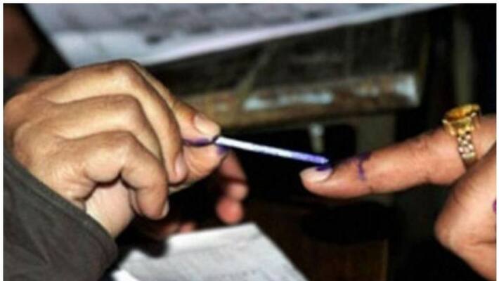 local body elections local body elections
