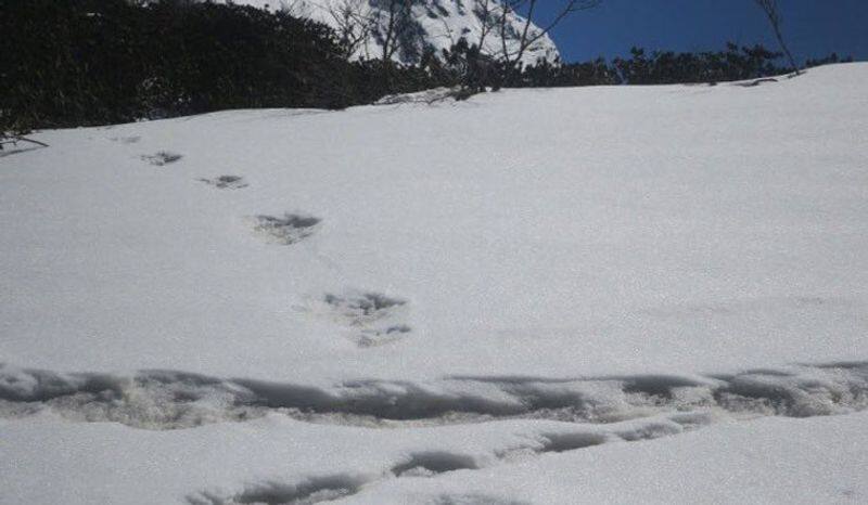 Indian Army Tweets About Yeti Footprints Sighted By Expedition Team