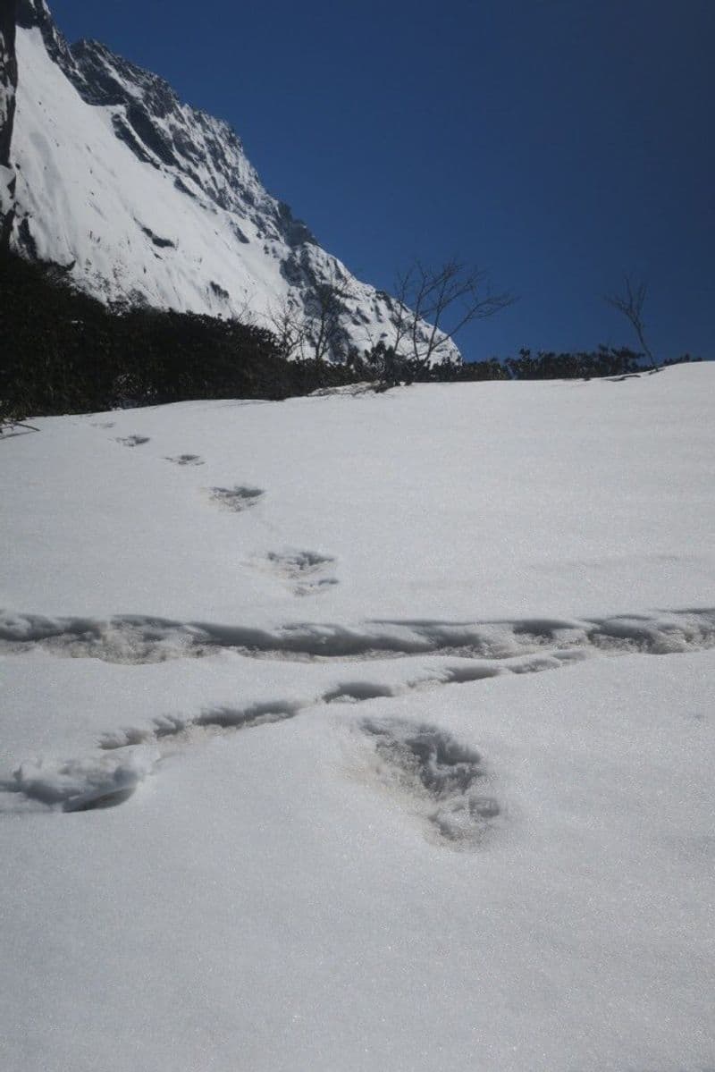 The Indian Army on Tuesday has claimed that one of its team spotted mysterious footprints of mythical creature "Yeti" in Nepal.