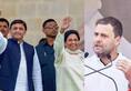 Rahul and Akhilesh alleged each other after assembly election