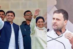 Rahul and Akhilesh alleged each other after assembly election