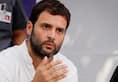 Congress President Rahul Gandhi citizenship row, Supreme Court agrees to hear plea next Week