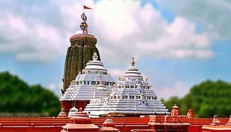 গর্ভগৃহের মাথায় রয়েছে একটি সুউচ্চ শিখর বা চূড়া। প্রদীপ উৎসর্গের জন্য রয়েছে ফসিল হয়ে যাওয়া কাঠের একটি স্তম্ভ। মন্দিরের প্রধান দ্বার সিংহদ্বারের রক্ষক দেবতা জয় ও বিজয়। মূল প্রবেশপথের সামনে রয়েছে অরুণস্তম্ভ নামে একটি স্মৃতিস্তম্ভ। খুরদার রাজা কোনার্কের সূর্যমন্দির থেকে এটি নিয়ে আসেন।