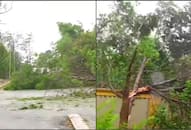 Cyclone Fani: Death toll rises to 10 in Odisha