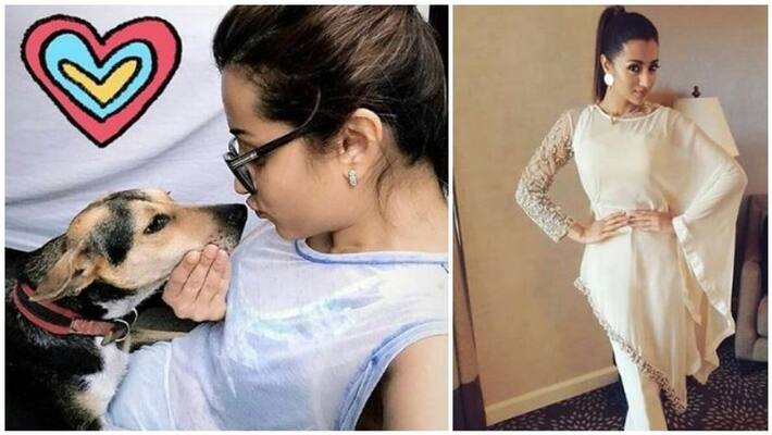 actress trisha photo gallery actress trisha photo gallery