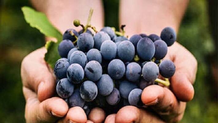 Black foods for healthy skin Black foods for healthy skin