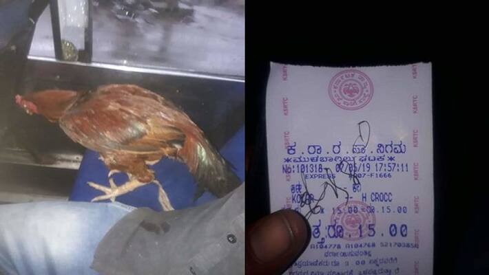 KSRTC Conductor Charges Ticket For Cock Passenger Gives Befitting Reply KSRTC Conductor Charges Ticket For Cock Passenger Gives Befitting Reply