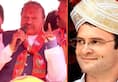 Rahul Gandhi wont get married in his lifetime says Karnataka BJP leader