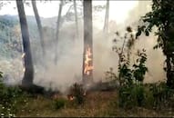 Fire in Summerhill Shimla