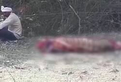 Killing of tiger for hunting