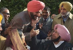 Navjot singh sidhu will election campaign in Punjab after captain unwillingness