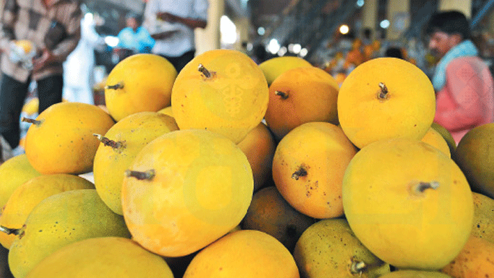 mango rate high mango rate high