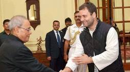Rahul Gandhi met former president Pranab Mukherjee before the election result